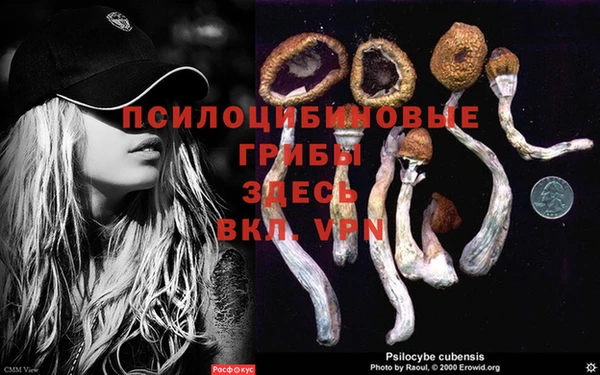 MDMA Premium VHQ Ельня