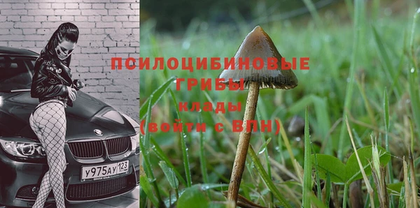 MDMA Premium VHQ Ельня