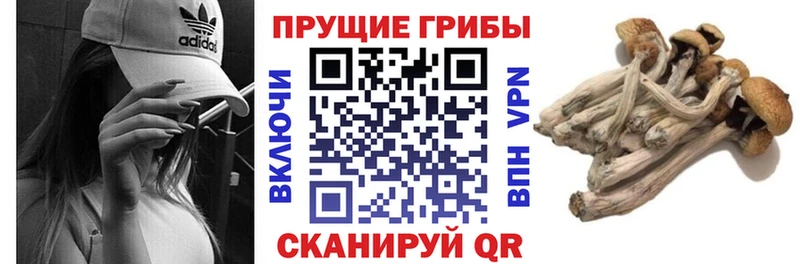 Галлюциногенные грибы мицелий  гидра зеркало  Орск 
